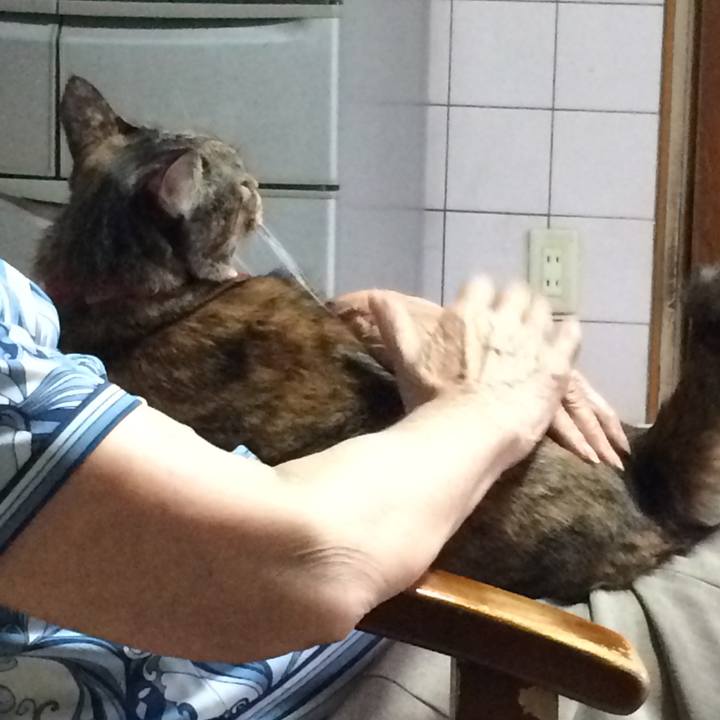 Bbad37bf fb98 4444 84f5 edf92429dde8