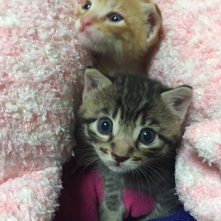 Bbadd6f6 46ec 4225 b913 d6a5917363fd