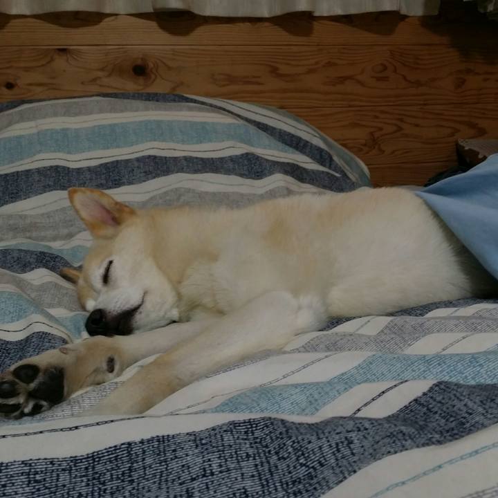 Bbae6bd7 b926 4b39 a36b 5384763a15b1