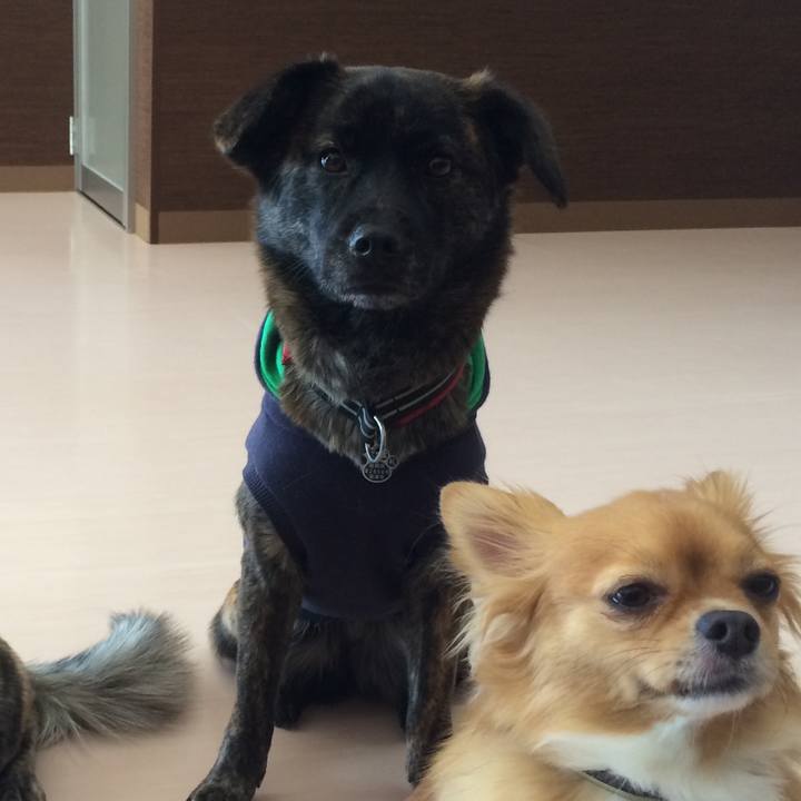 Bbae7cba 20a5 481d b338 0326b1f0f404