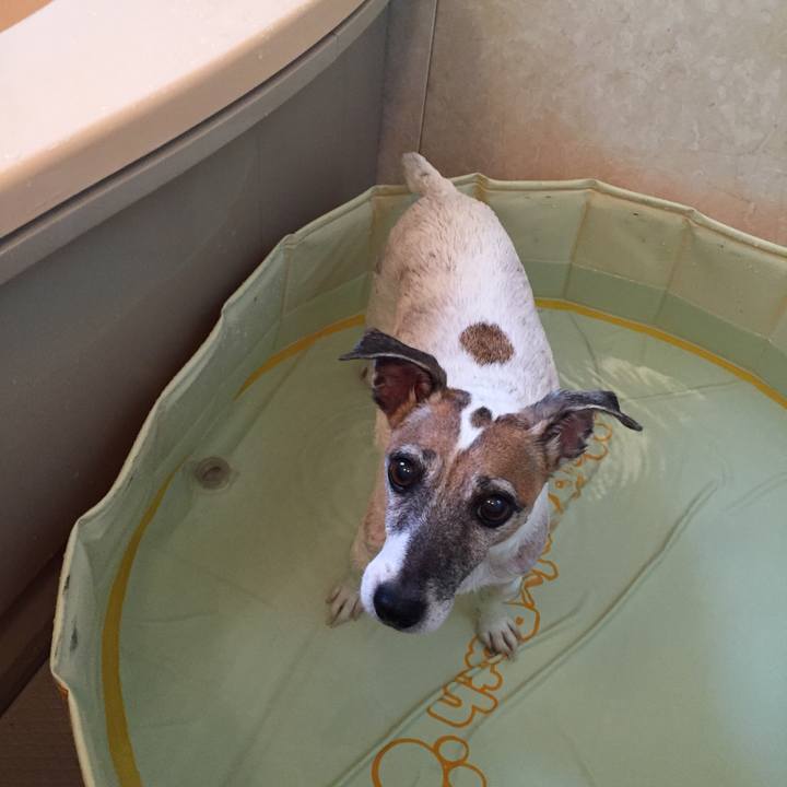 Bbae9599 564c 4921 9a77 ba731a36c5f9