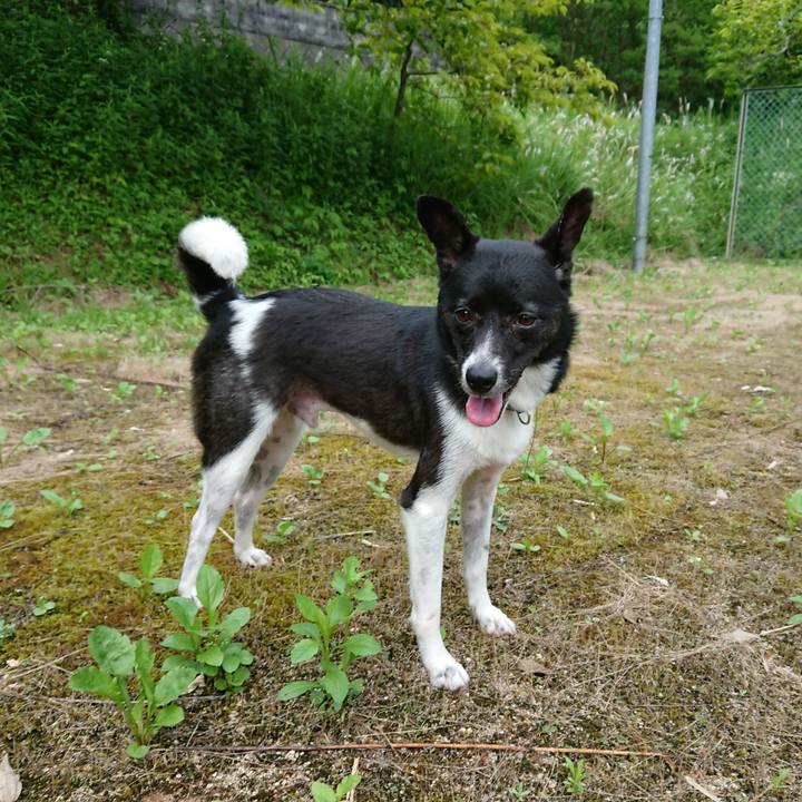 Bbaec553 5163 48d7 8e02 645dfa6dd922