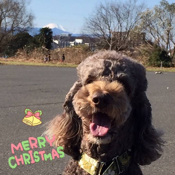 Bbaf0c33 5369 4619 8806 57a1de8827a8