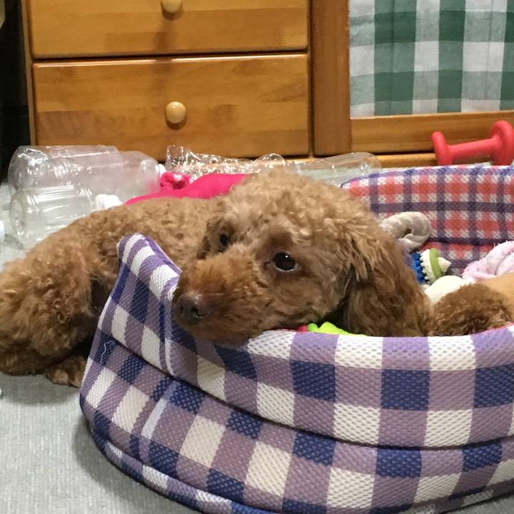 Bbb0055e ce7d 4c08 bb2c e81b466562c7