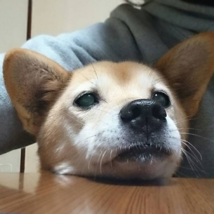 Bbb01eec 86d8 4785 904a 22f6b9965789