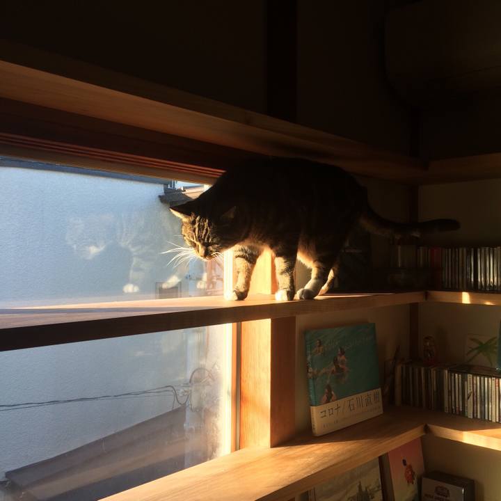 Bbb083c9 7e8c 4a92 8c54 3f070e79d75a