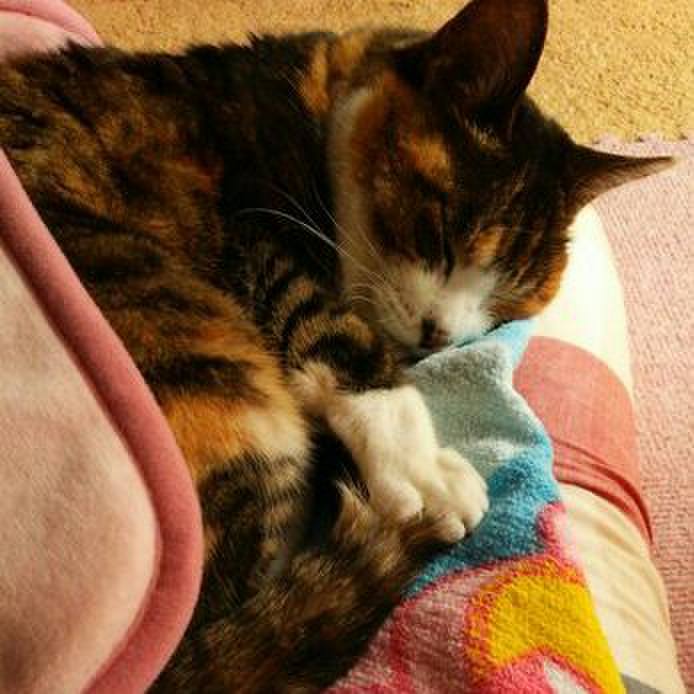 Bbb09029 5724 467f baa3 38d7bccd13fd