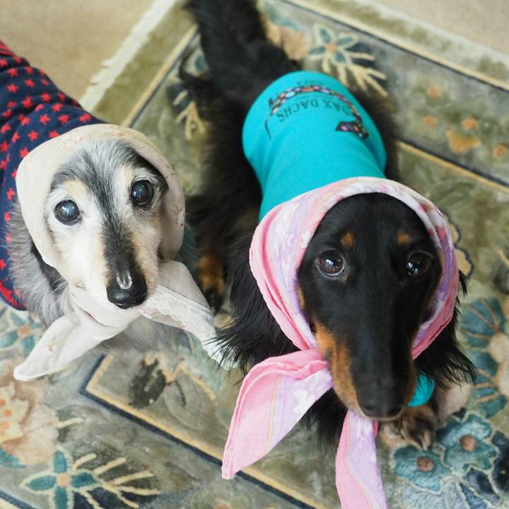 Bbb14c07 8798 45e4 982a 2dff75e1fc63