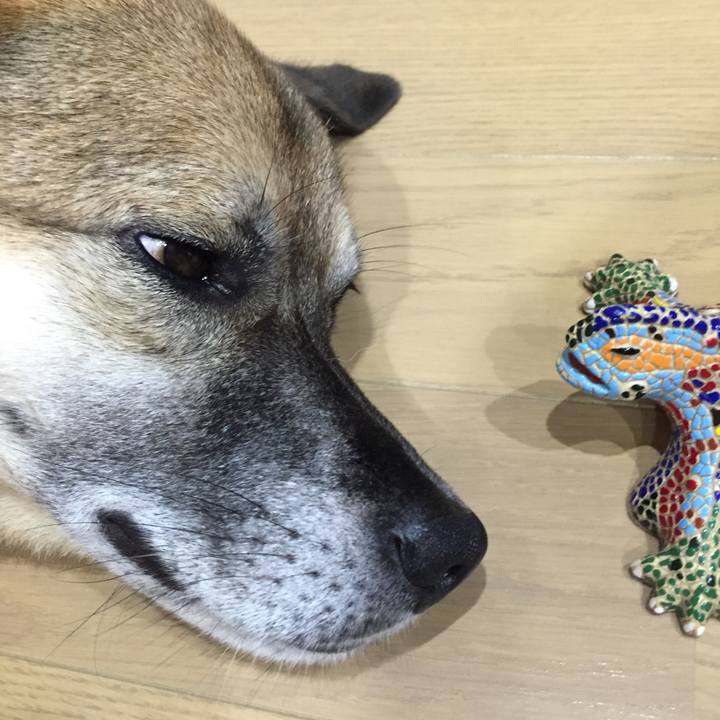 Bbb1b696 3387 47df 9253 9f0172bea7e8