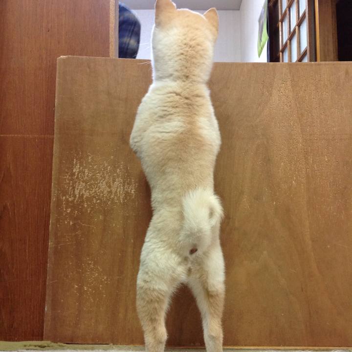 Bbb1d051 5180 4c3e a10d 71bc0b466940