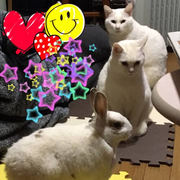 Bbb2c9dc 2c3b 42e7 b1f6 425870706fec