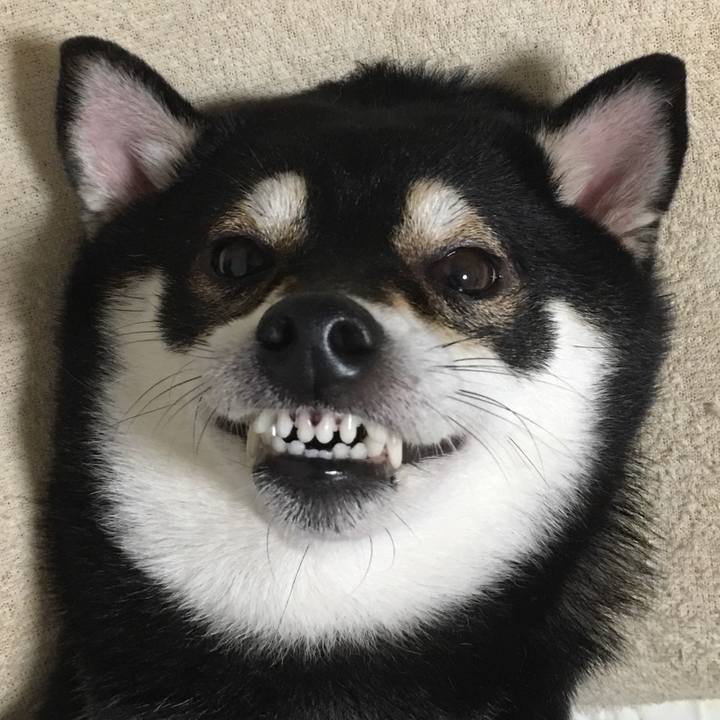 Bbb2ee8a 0127 4586 894a b820ee607185