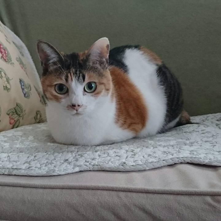 Bbb381aa 5664 45e1 b29e 567aaa6ae7af