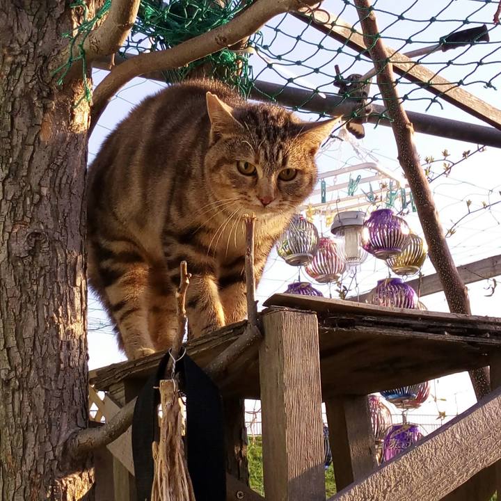 Bbb3a404 e3ae 4212 a7f1 299578c02c9f