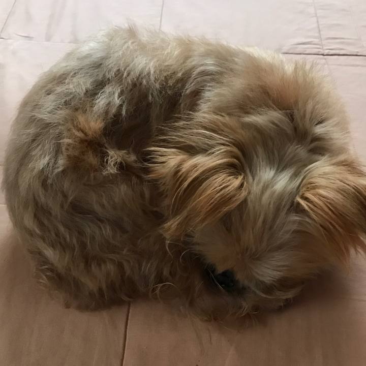 Bbb4209e 3385 45eb 871e faeec628124b