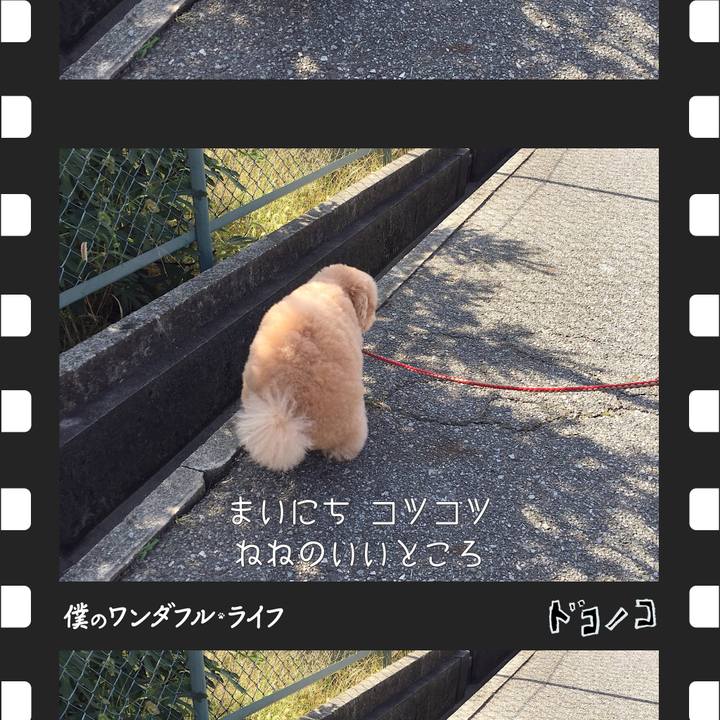 Bbb43d62 b413 4232 a91a ce529749f3a2