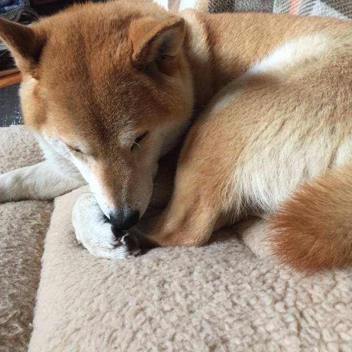 Bbb4721c fd74 4a99 90c5 283479fb0dd7