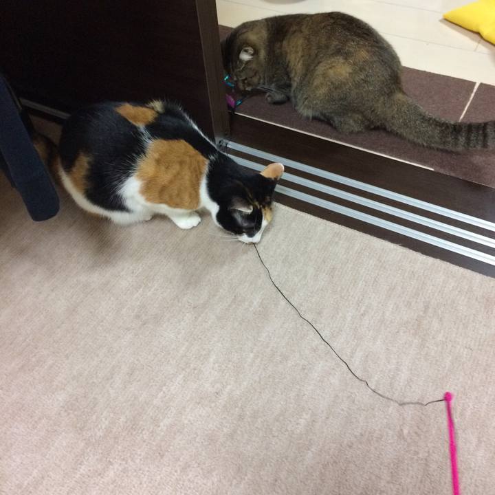 Bbb4aa71 dcce 4135 809f d82ff2472587