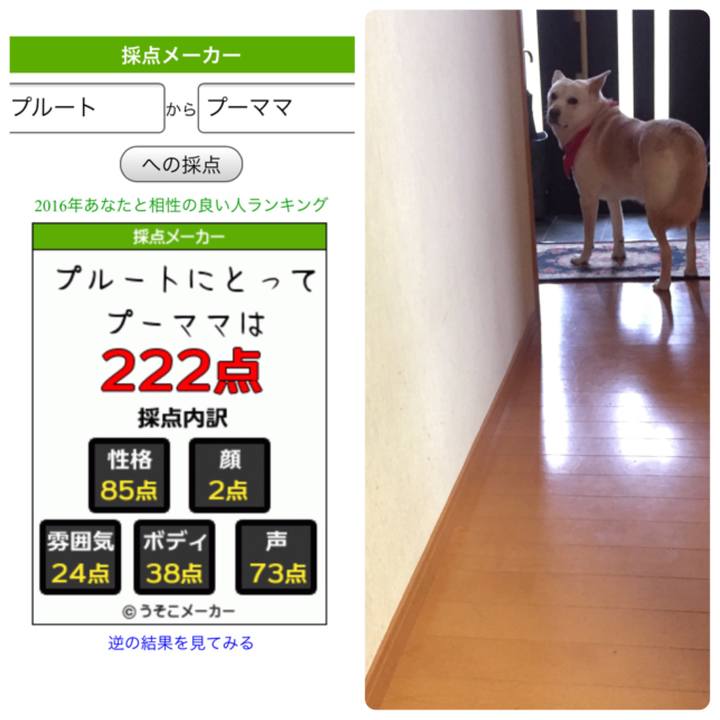 Bbb4e1cf 858f 4e60 ab2d 0ea50e2cd67f