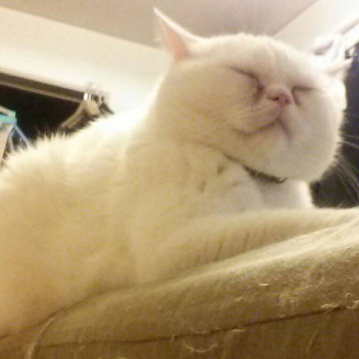 Bbb4e840 82d0 4ce5 8477 bd6624707393