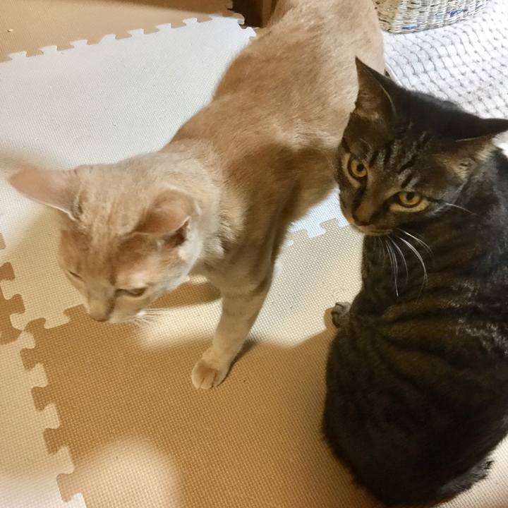 Bbb50174 693b 4926 b2ca 7018a9a9e0a4