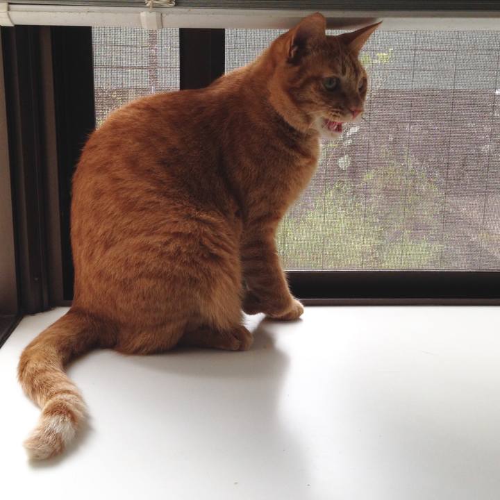 Bbb5d008 c1b8 410d 89f5 338a0d874fe4