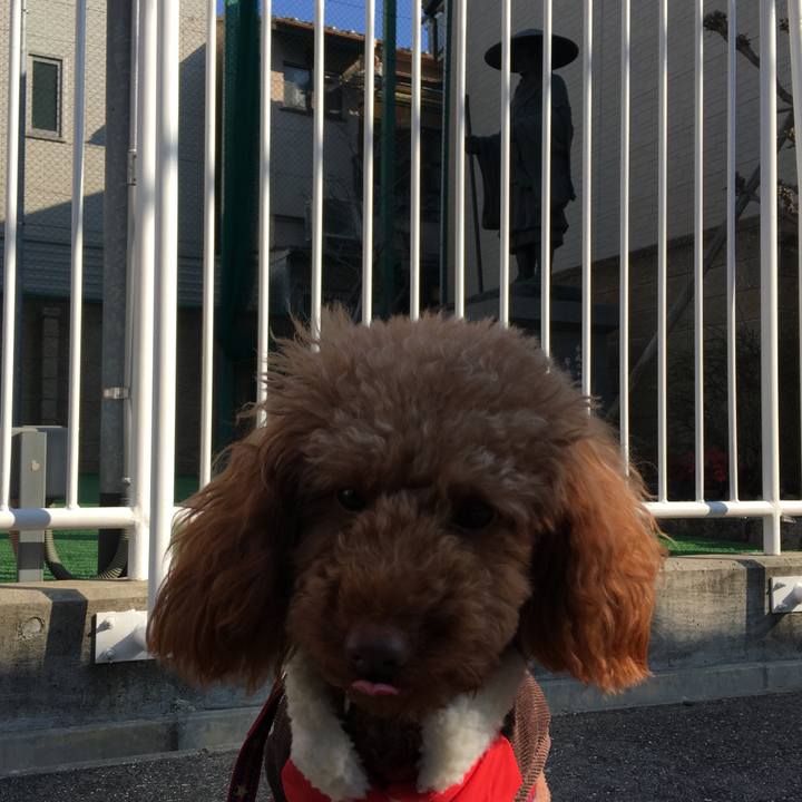 Bbb61963 6560 4cdd 8e9b 0c804a3c9754