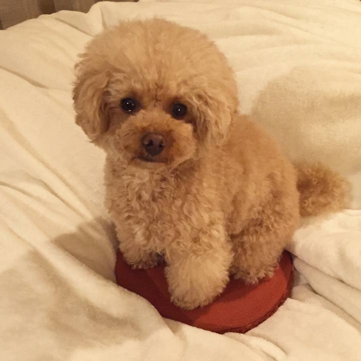 Bbb62958 8b7c 4a2a a6f9 3a8b45a86613