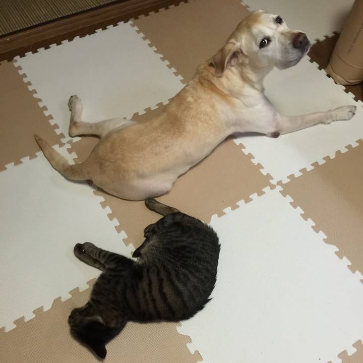 Bbb6c664 c34f 417e 819a 16c4e6cc487b