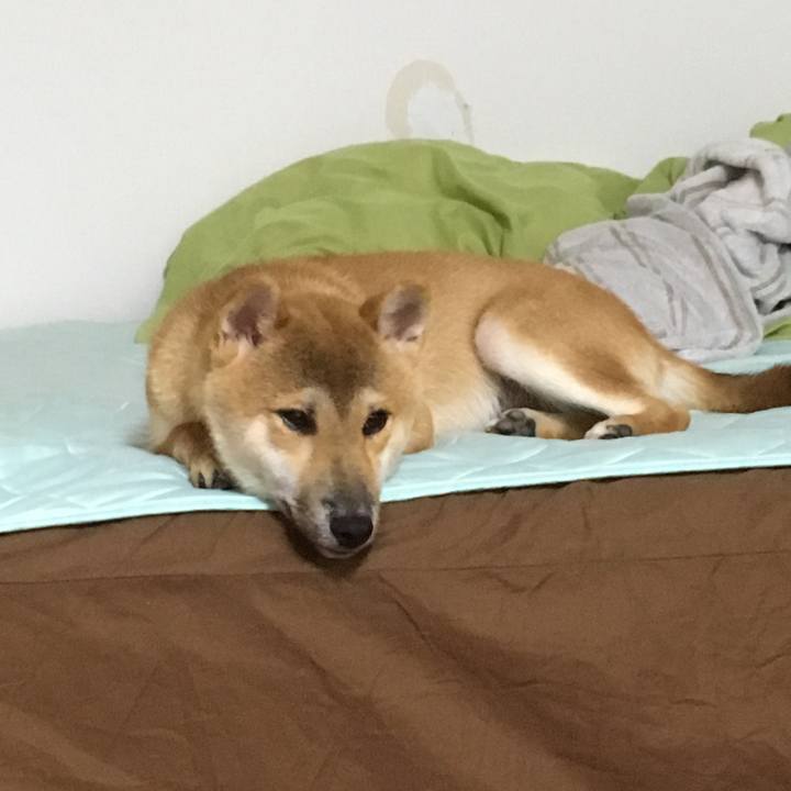 Bbb6c925 83c7 4e49 8a16 71c604b20024