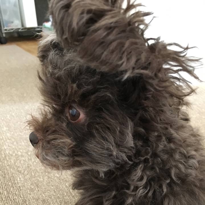 Bbb71b19 b026 4d31 9bdd 16d7d3e982ad