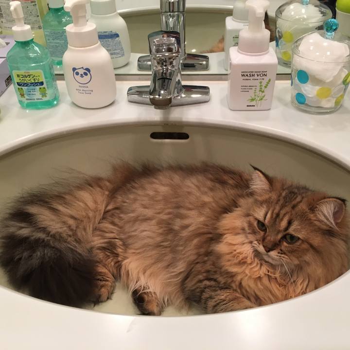 Bbb77f2e a104 46e0 b84a 7b5fafd857fb