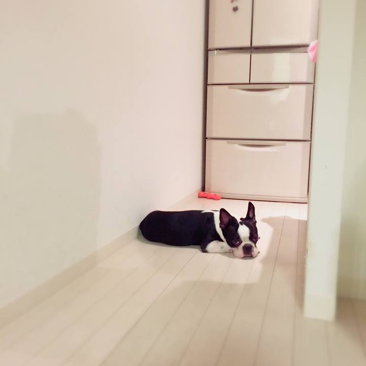 Bbb7c75a 390b 48a6 a8a4 d4838e4b466b