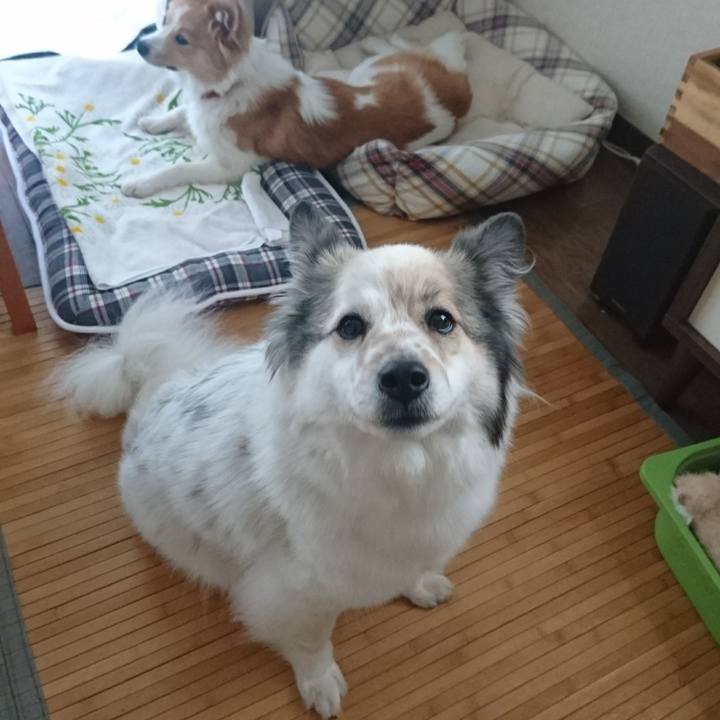 Bbb86556 2731 4ba1 9f45 f9a27dfe3dc0