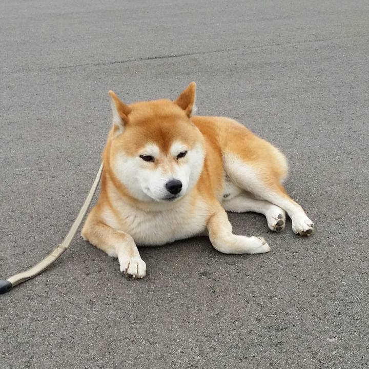 Bbb8bdb6 b169 4e3c 90c1 94c830069482