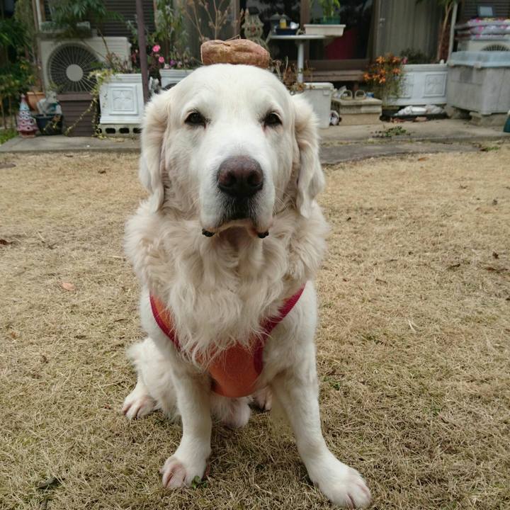 Bbb8d786 ee0c 41c1 871e 6b68b69179d2