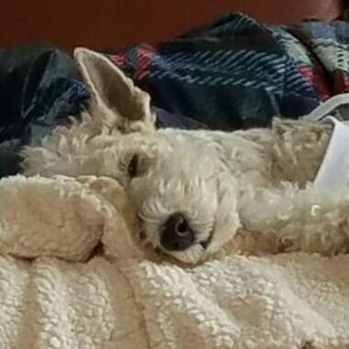 Bbb8ffc8 0029 4835 9371 086ef43ad7bd