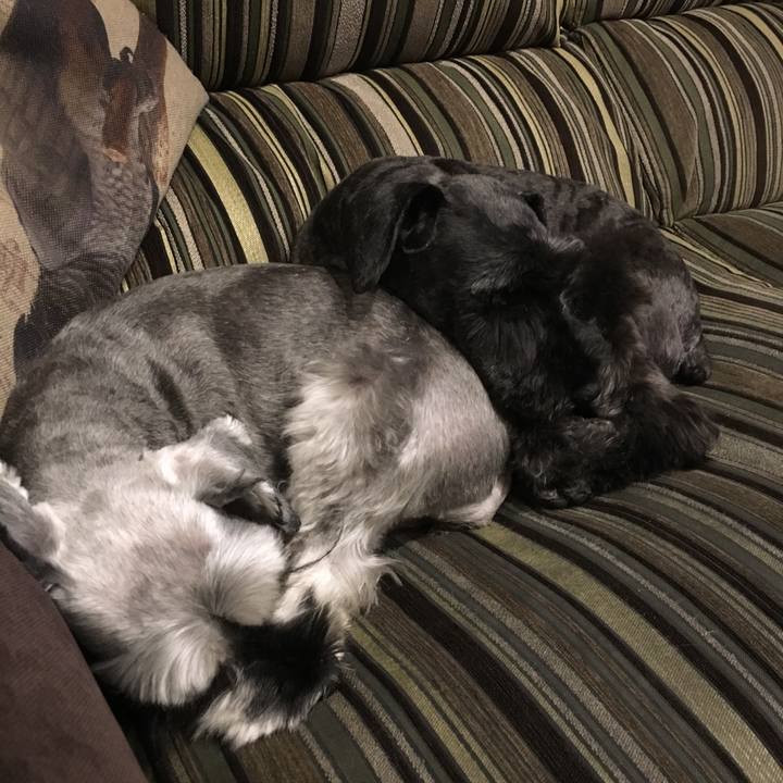 Bbb91247 df2e 4056 9f27 2ca76ad137ec