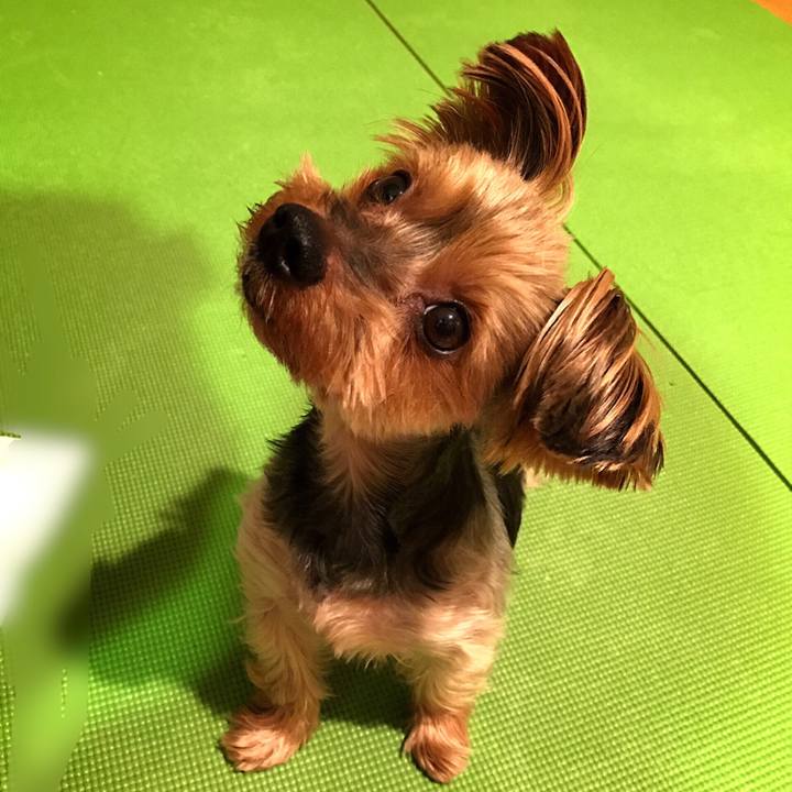 Bbb94666 4502 4a00 9439 16e5a5c15647