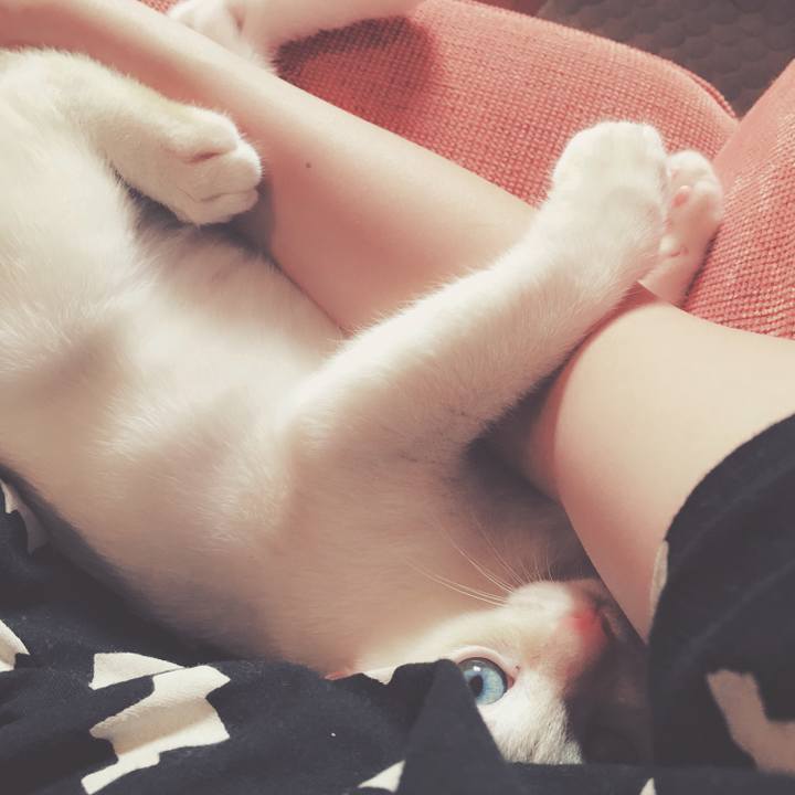 Bbb972d2 934d 44c7 a2a2 709715ccb406