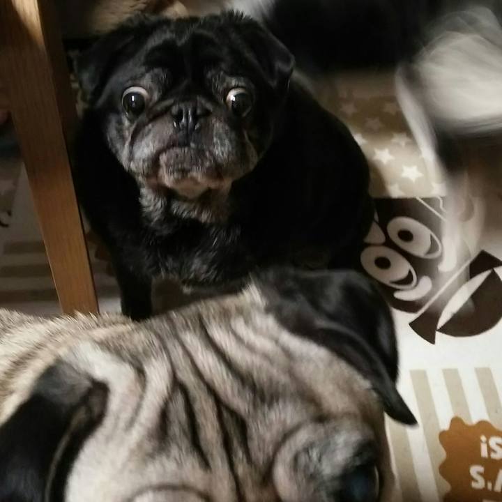 Bbb9afaf 4e9c 4f64 a50c 30d788a705a5