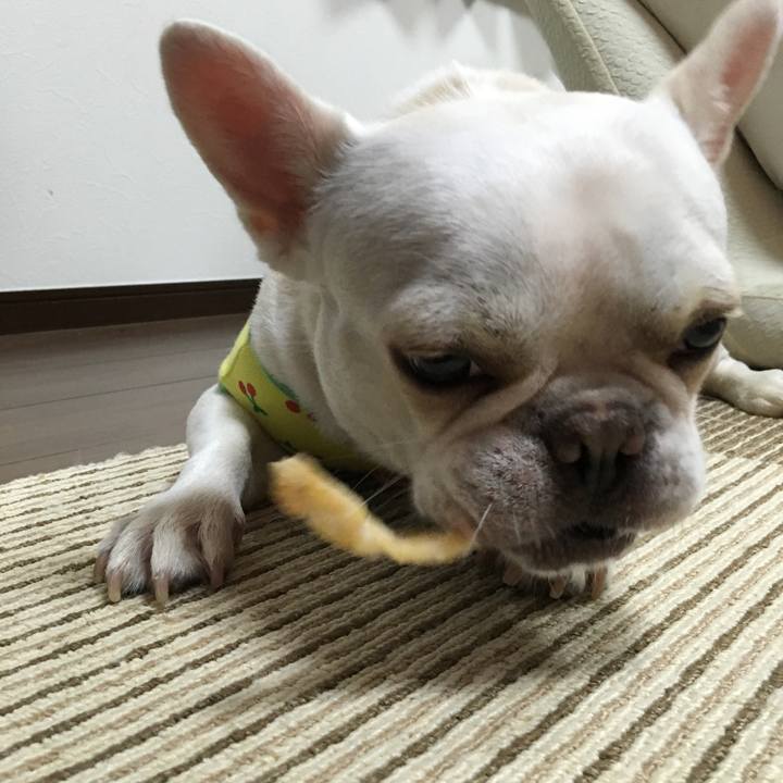 Bbb9f338 b4b3 4dc3 9f20 3fe0712176a4