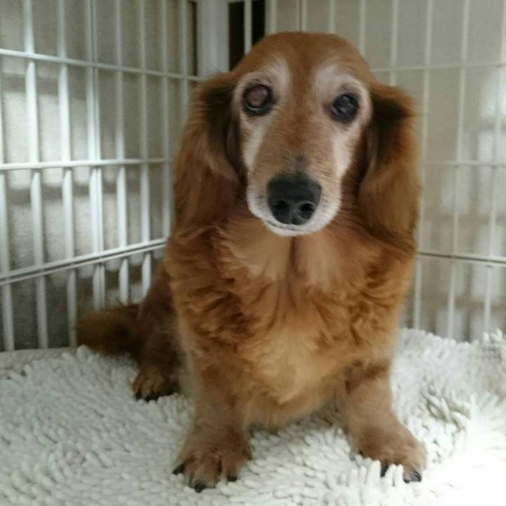 Bbbb20a0 aa29 4f2e b99e fdf319ab1f26