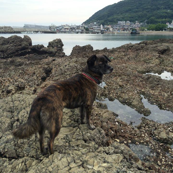 Bbbc6291 4394 4ca4 8e0d f925e5ca0cb3