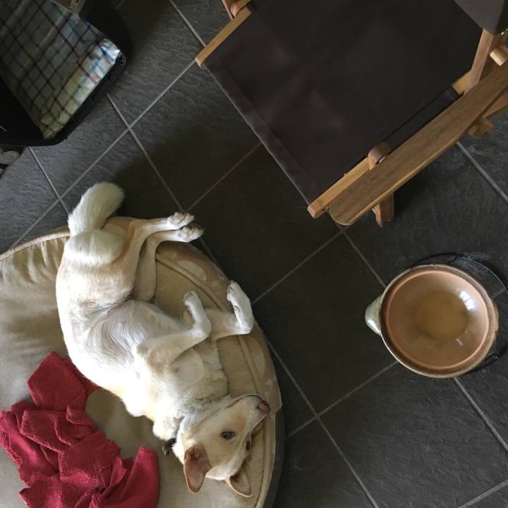 Bbbc821d f7d3 4cd0 9a05 3130c98d57b0