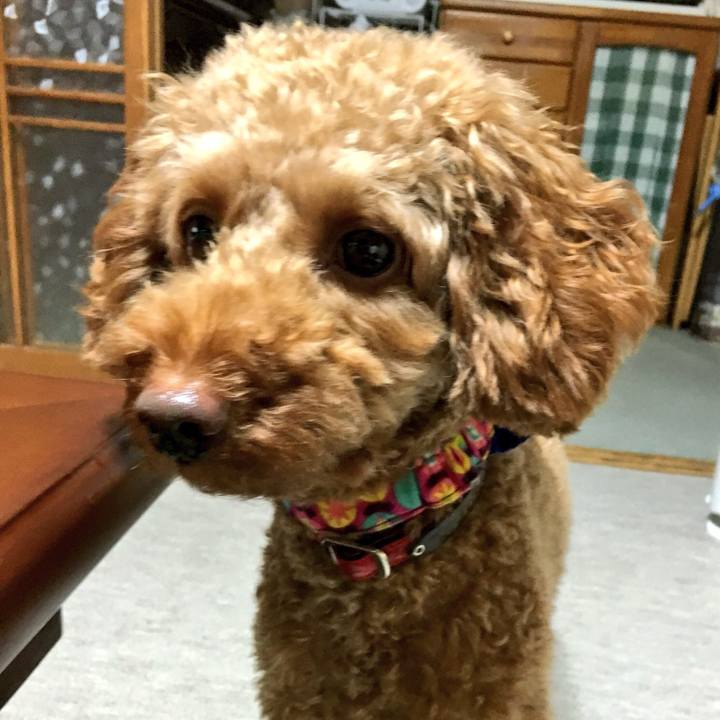 Bbbc8ffb 9401 41dc b023 b47bfbdab71f