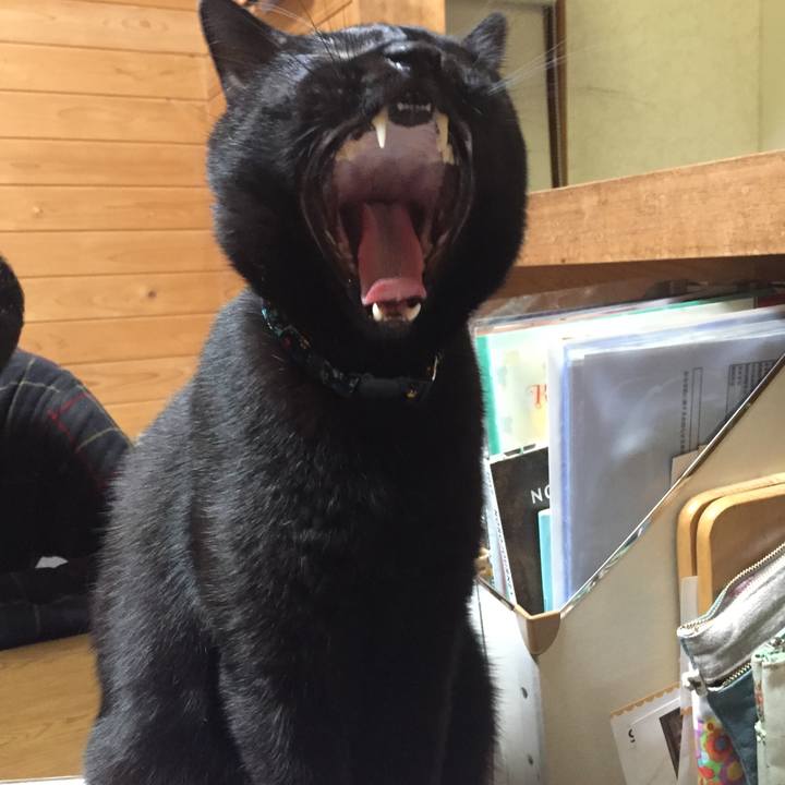 Bbbc95ef d70f 4b83 846c 657e96c5fe9c