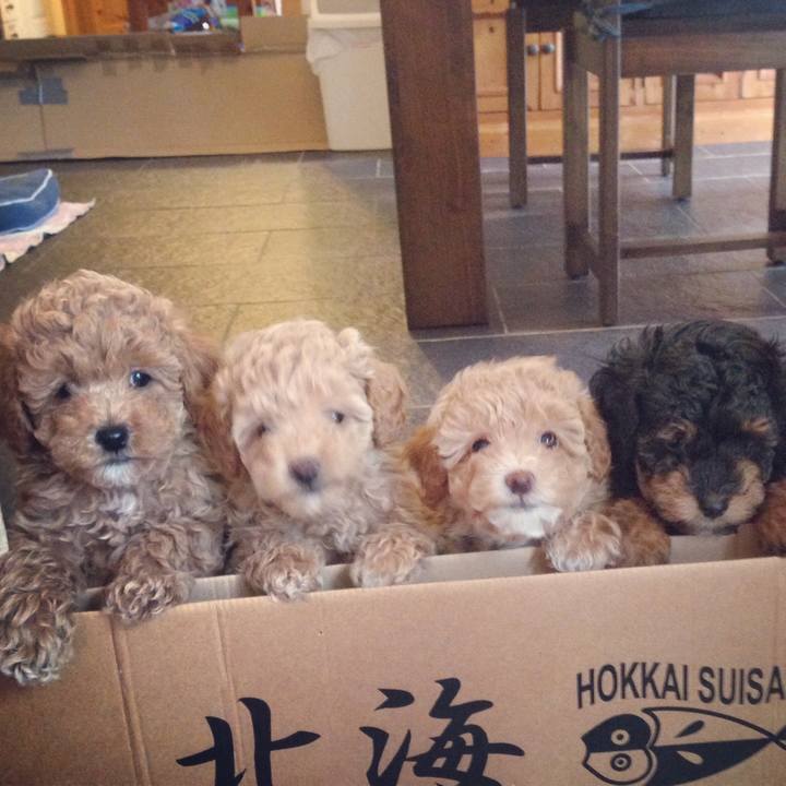 Bbbd1294 61ab 4515 88b9 6b0c30af0036