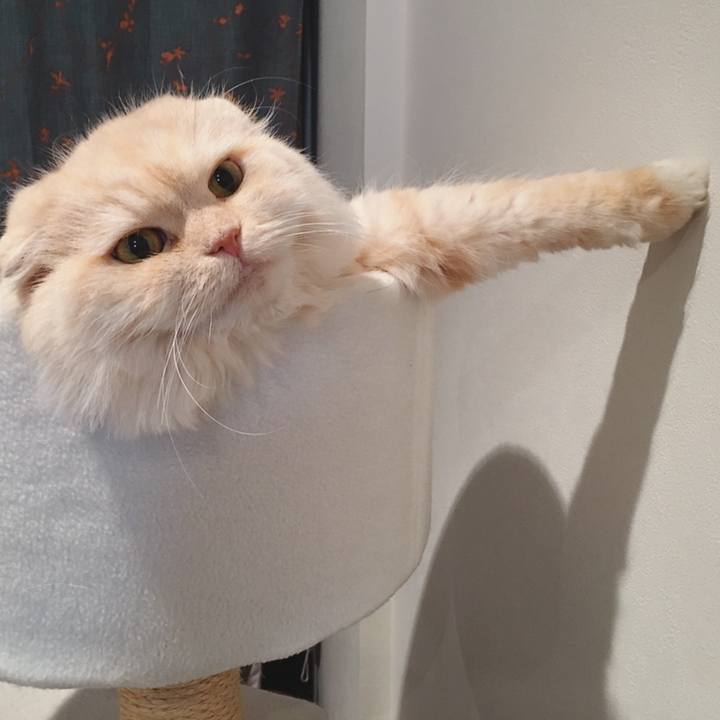 Bbbd7869 566b 4c03 b8b7 56d8b7467f61