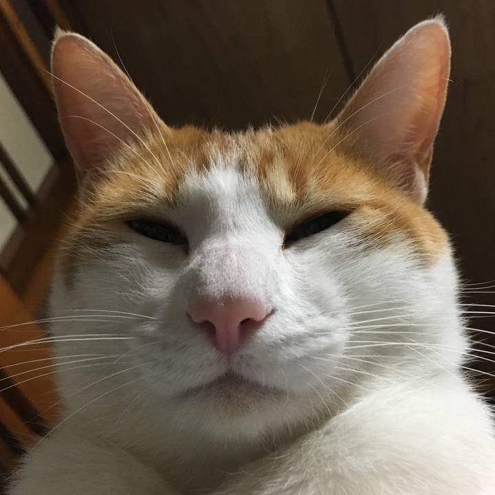 Bbbd99d4 6924 48d6 ba8d 8d661fa5855f